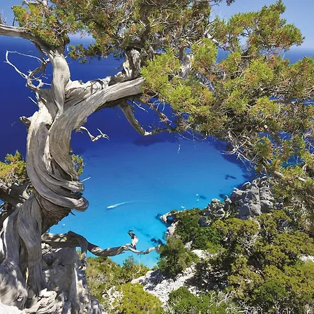 شقة Palazzo Beddoro *