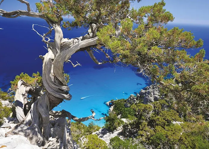 Apartamento Palazzo Beddoro *